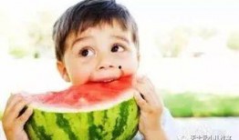 娱乐吃瓜君说二豆,二豆背后的故事与真相