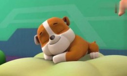 与鸭共舞在线可观看,在线观看的欢乐时光