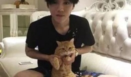 鹿晗豪宅爆料视频大全下载,独家视频大全带你领略明星奢华生活